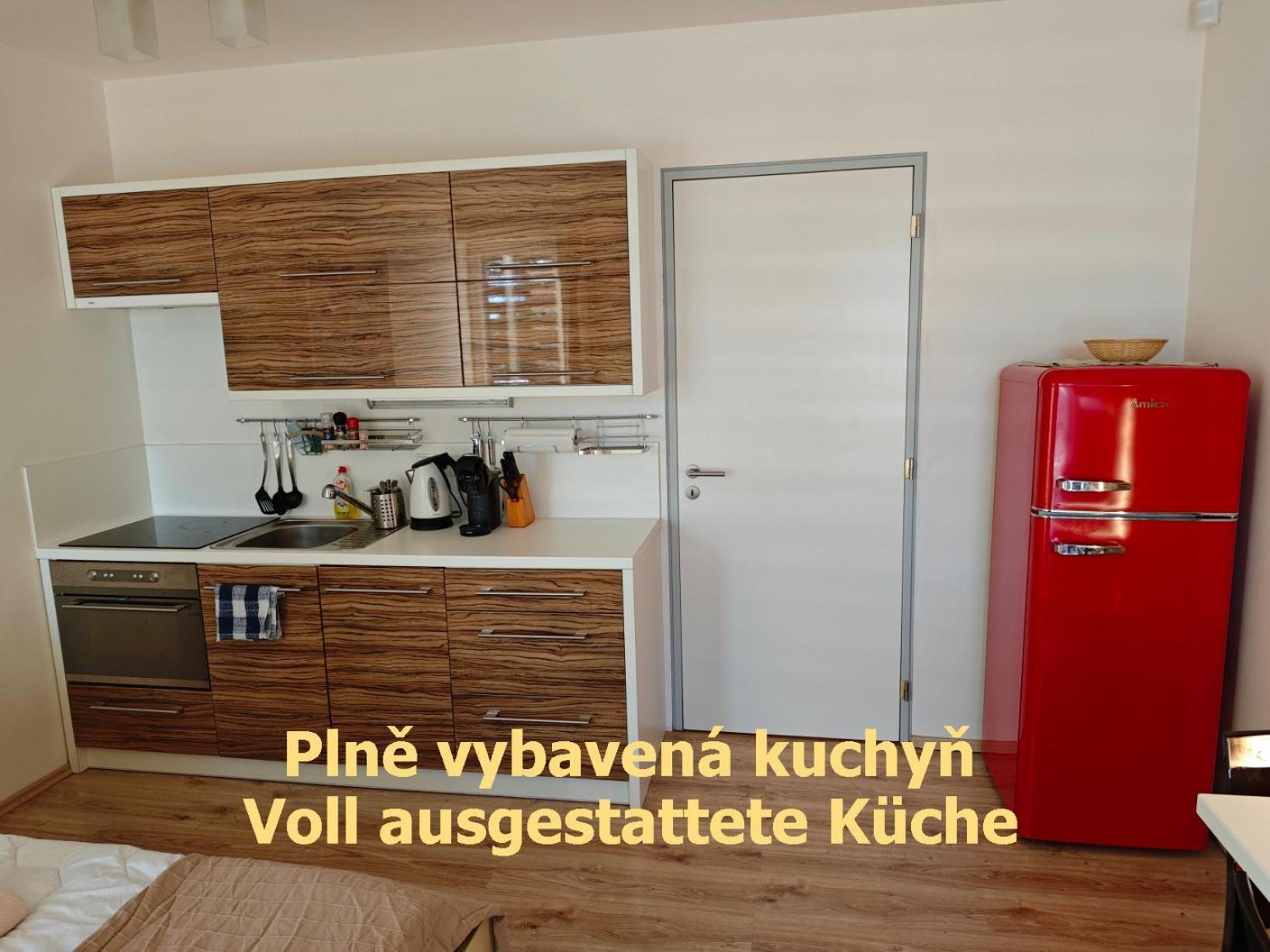 Apartman Sova - Klinovec Loučná pod Klínovcem Dış mekan fotoğraf